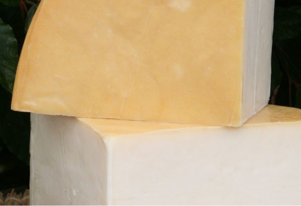 Close up view of the smoked Pendragon Buffalo cheese