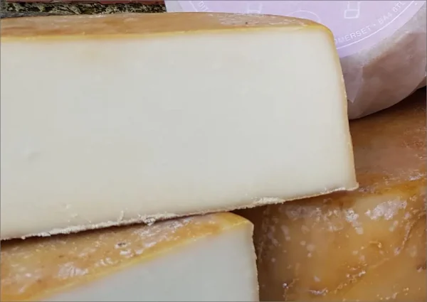 Close up view of the Guinevere Buffalo Cheese